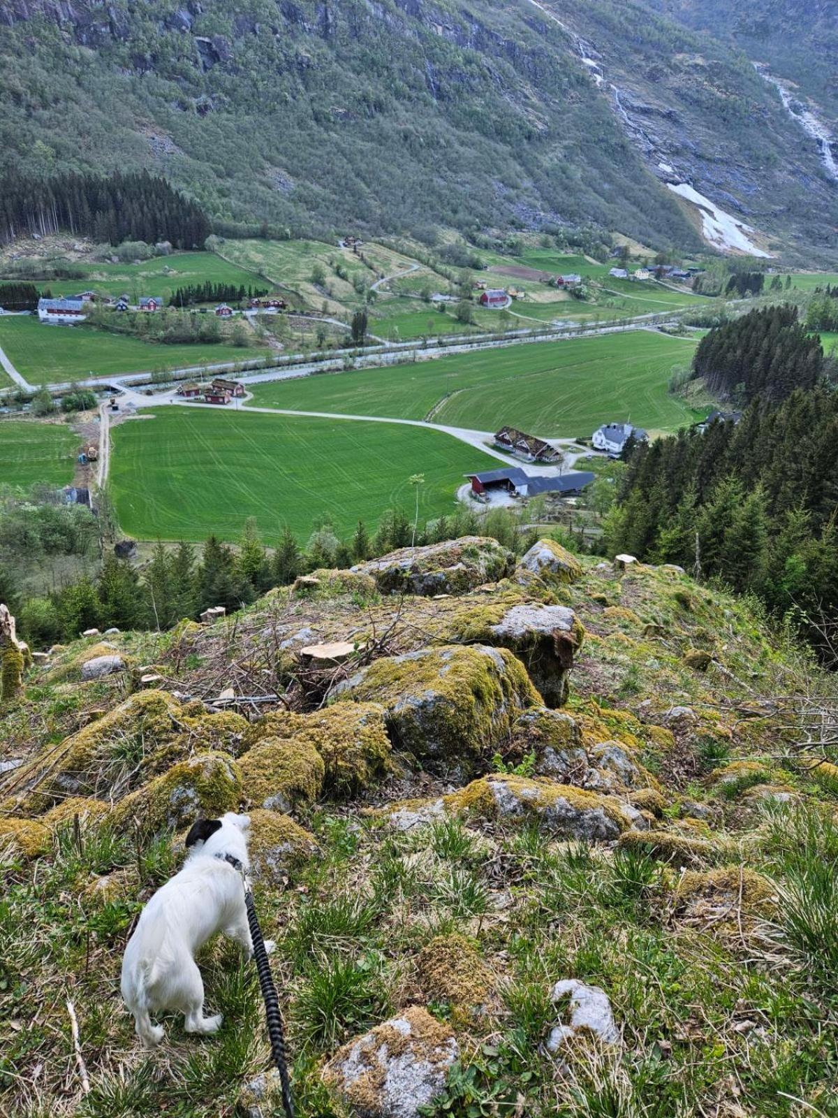 Trollbu Aabrekk Gard Villa Briksdalsbre Exterior photo